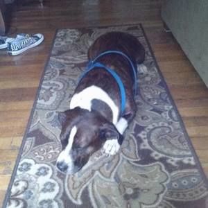 Meet your Posher, Brooke